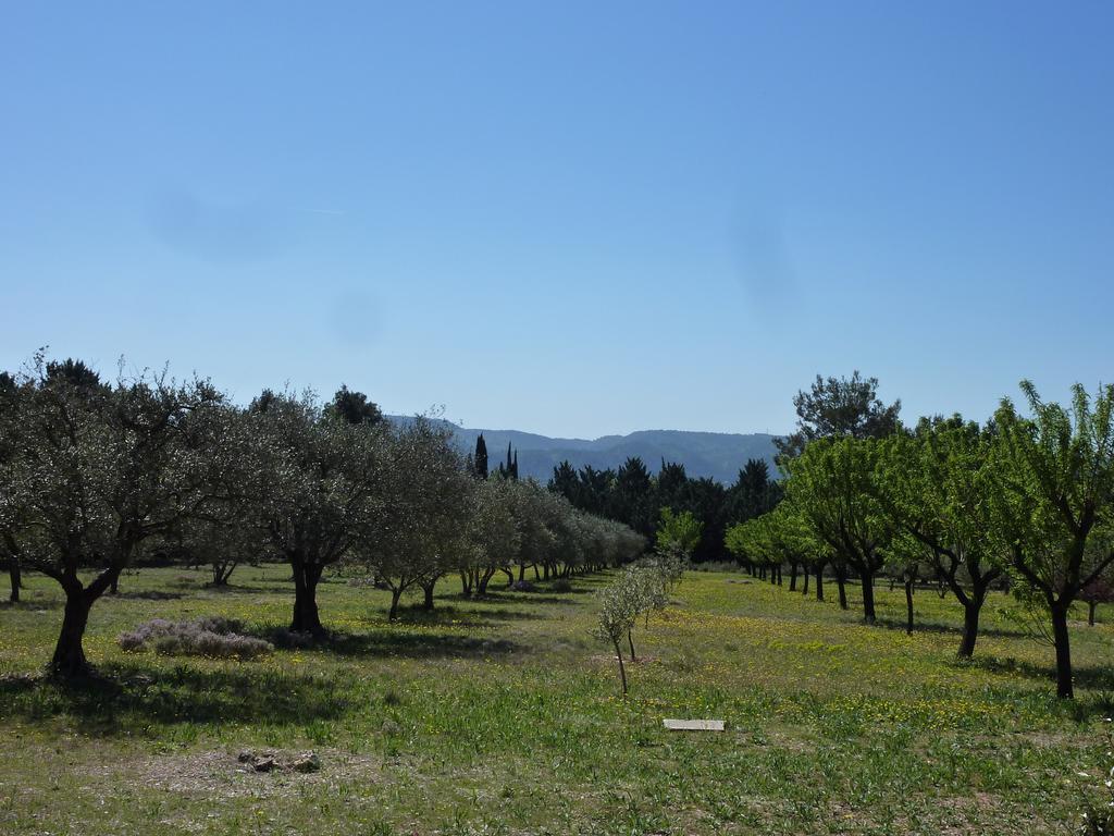 Bed and Breakfast Les Mazets Du Luberon Puget Esterno foto